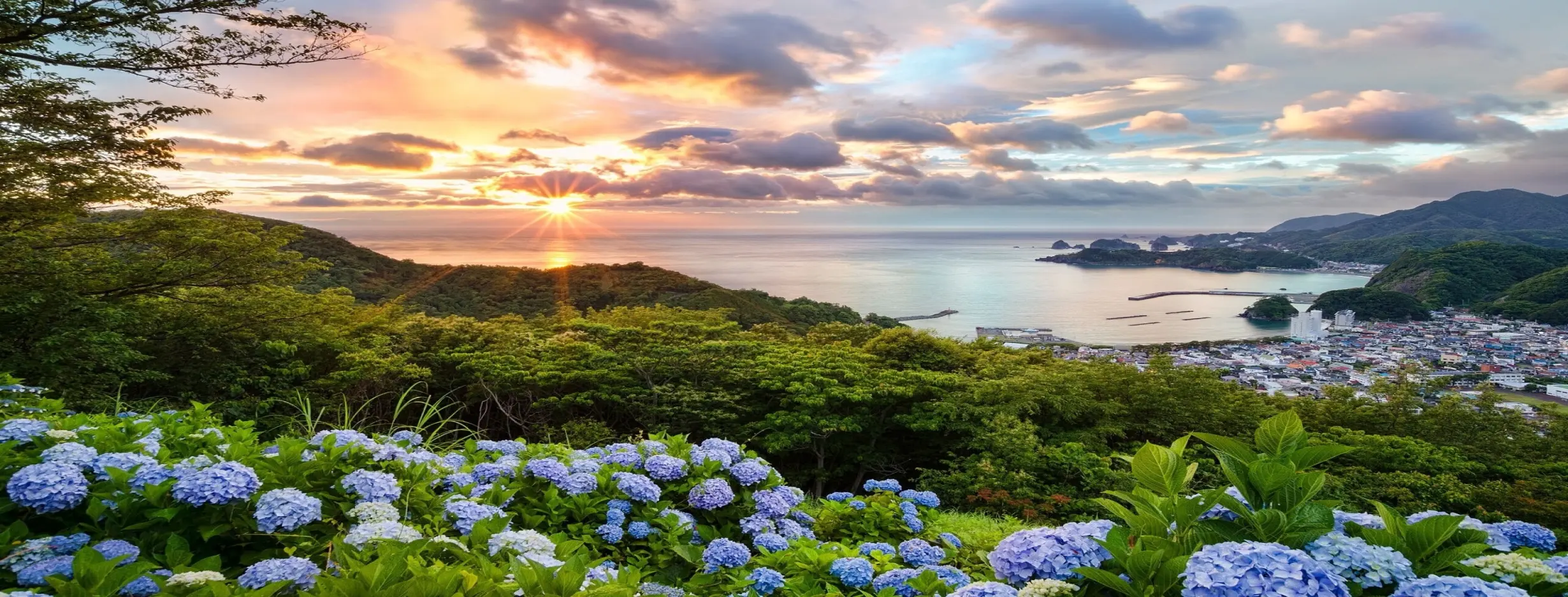 Image for Flower Filled Landscapes